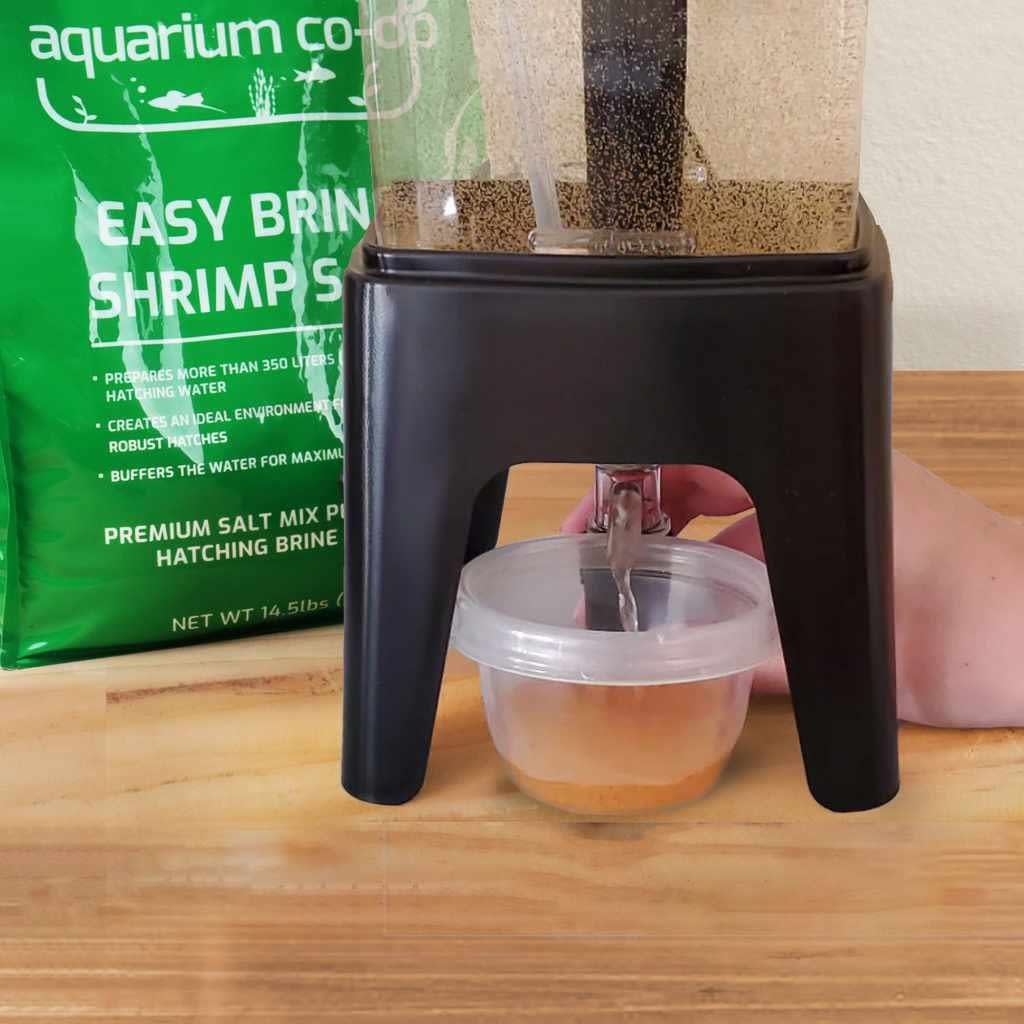 Brine shrimp hatchery