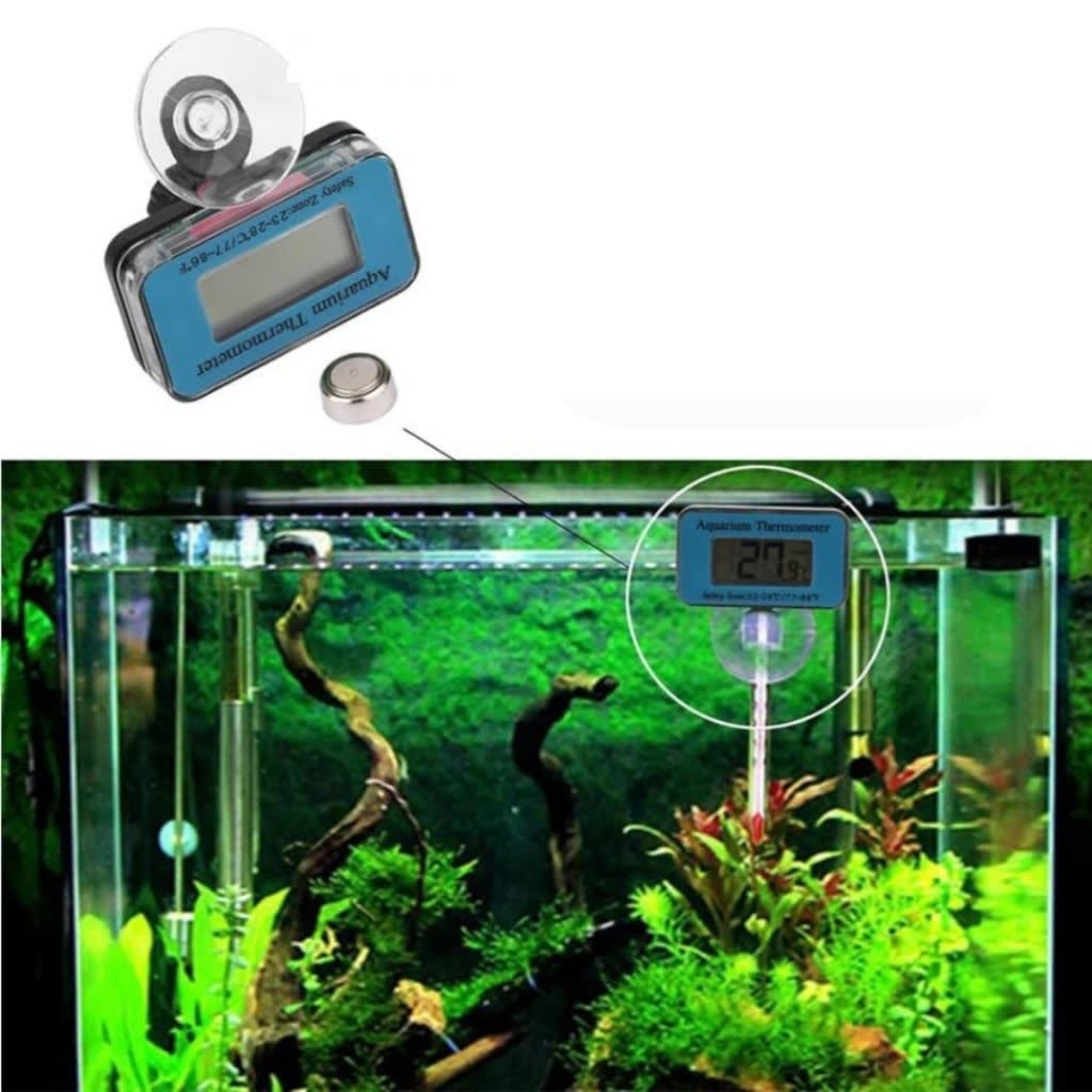 Digital thermometer