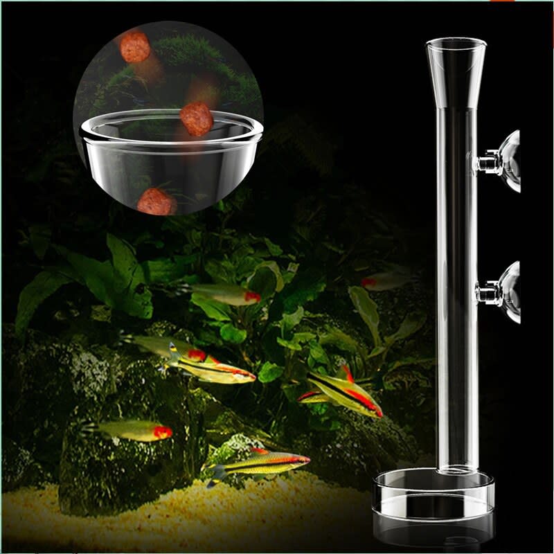 Glass feeding dish