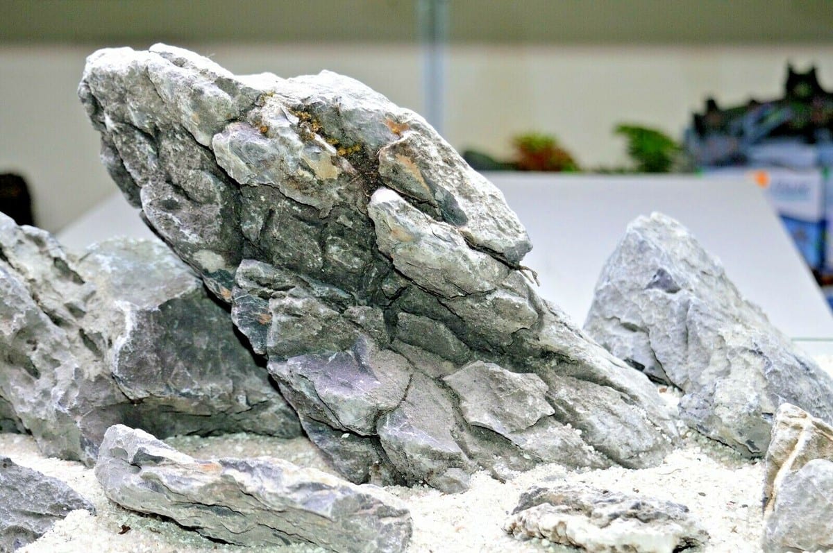 Seiryu / Ryuoh stone