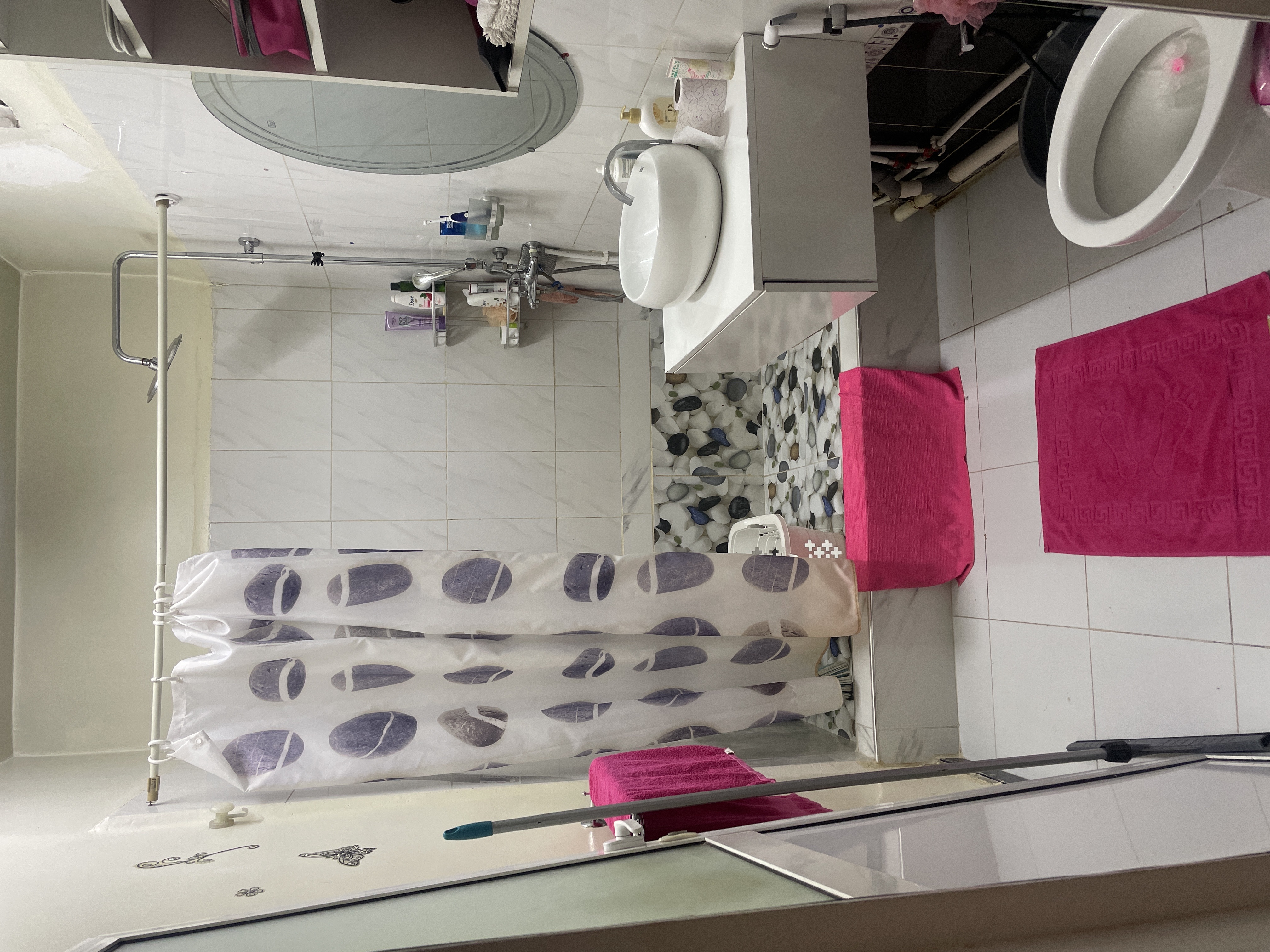 Apparemment confortable situer au cœur d Alger 2