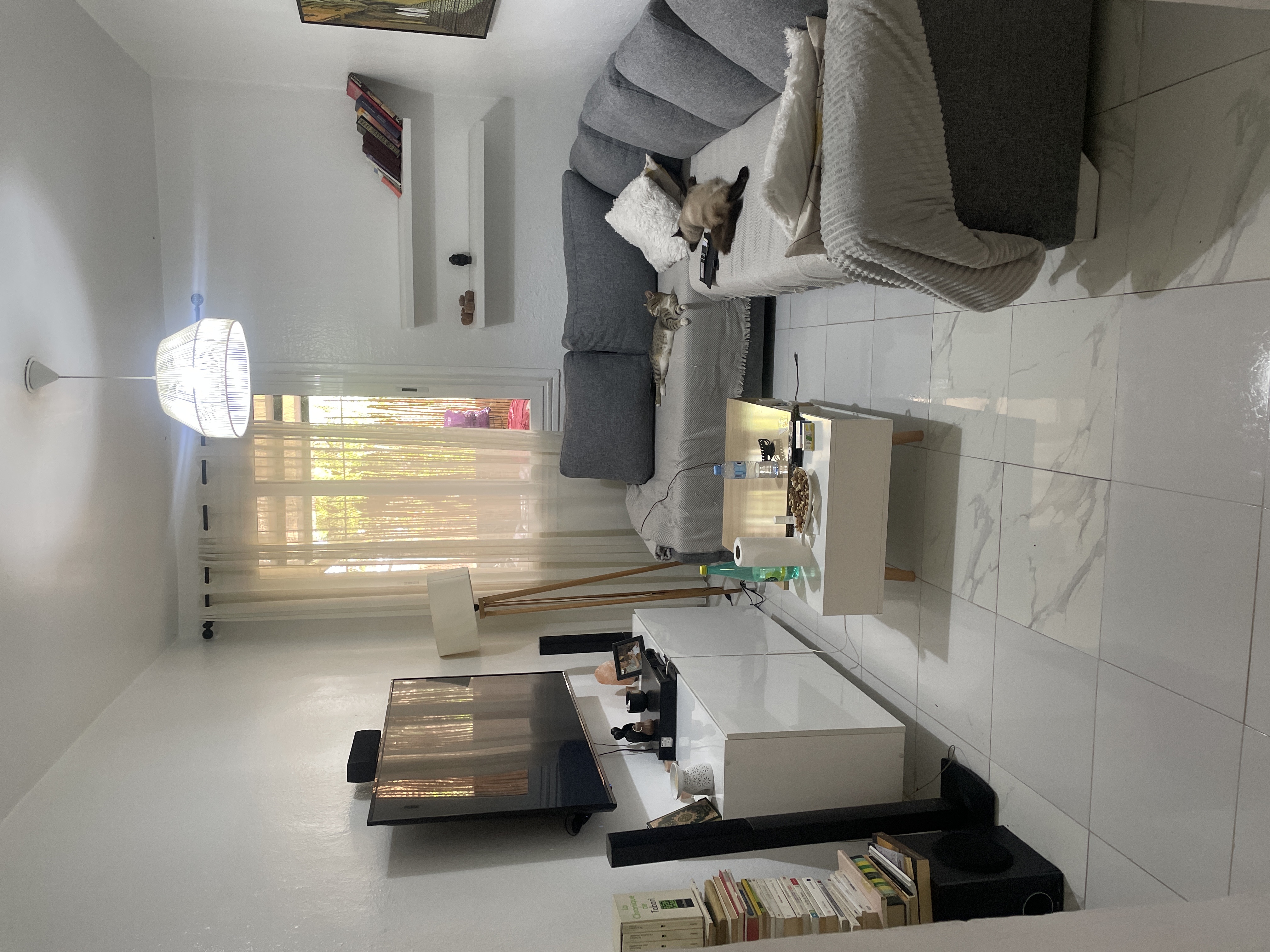 Apparemment confortable situer au cœur d Alger 8