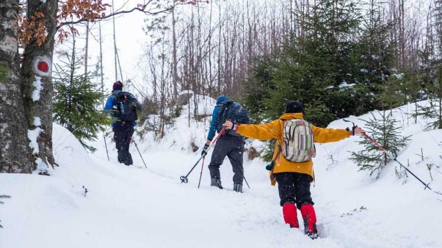 Schneeschuh Wanderung Image 1