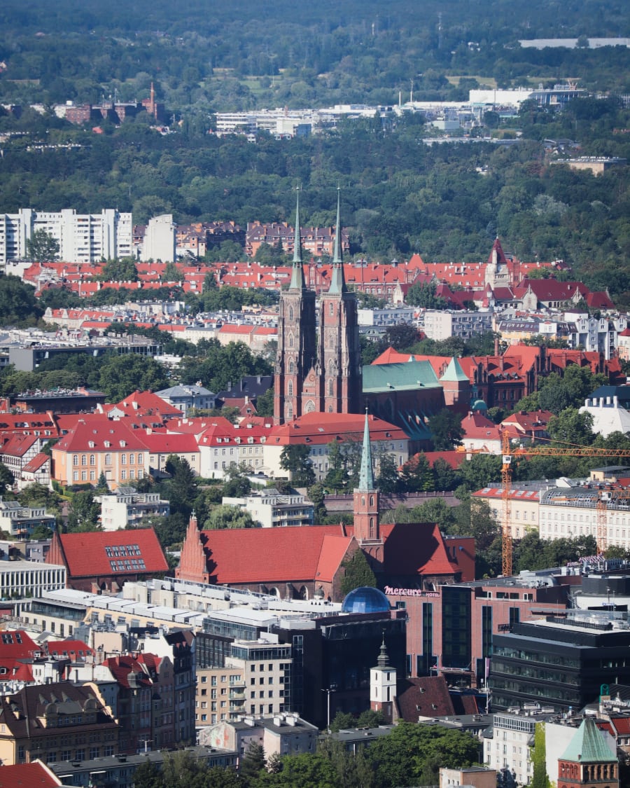 Freiburg Stadt Rallye Featured Image