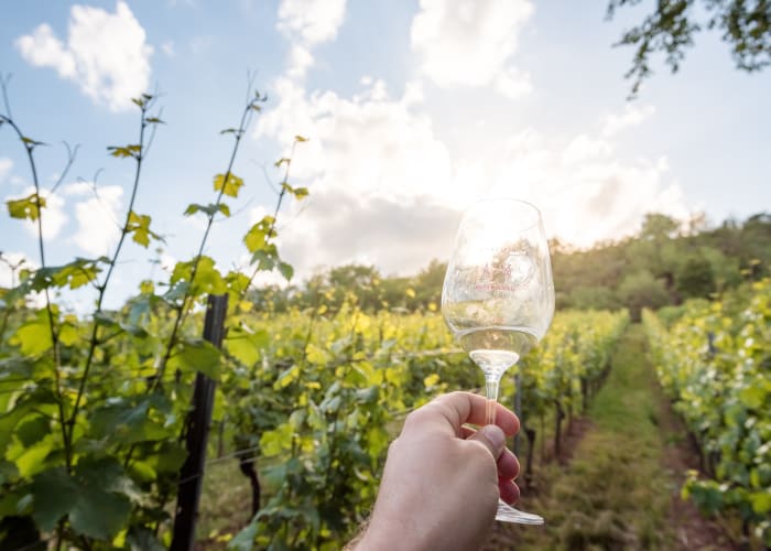 Weinwanderung bei Frankfurt