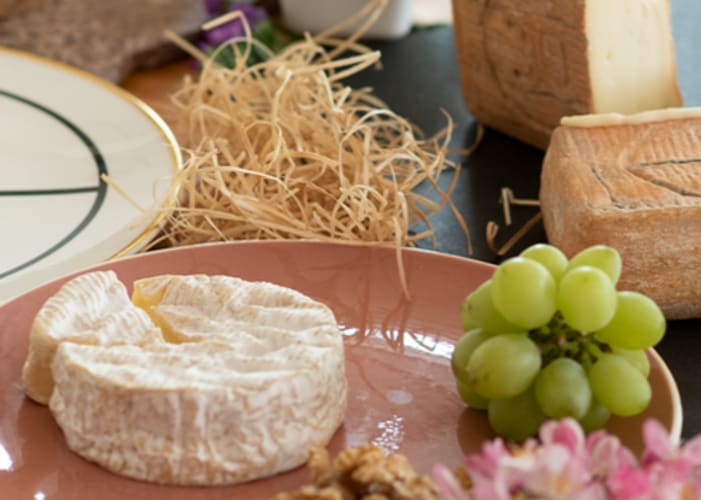 Käse Tasting
