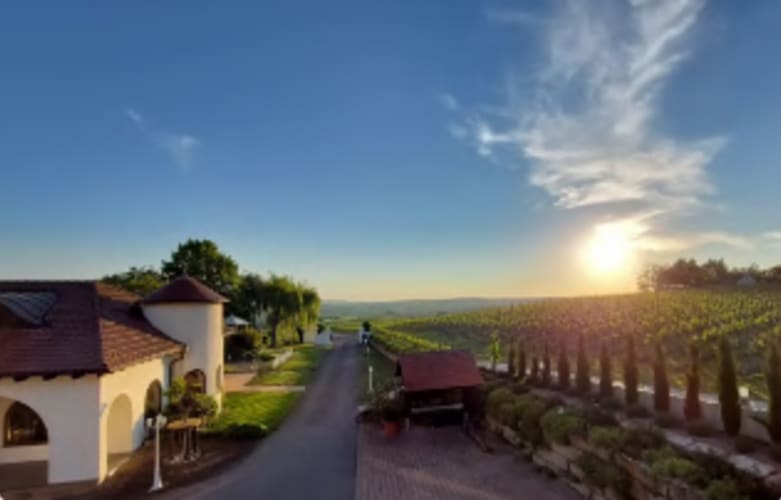 Weinwanderung Talheim