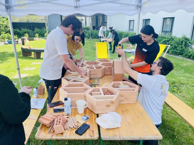 Bienenhotel Workshop