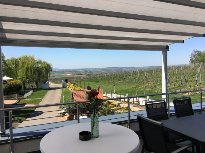 Weinlounge mit Panoramablick in Talheim