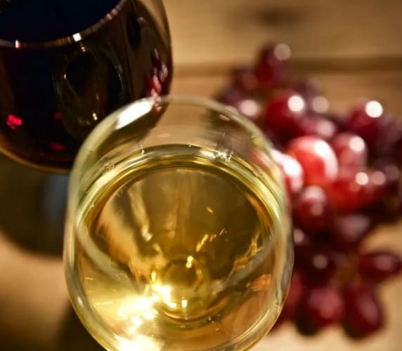 Weinseminar in Berlin 