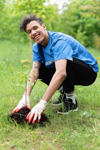 Bäume pflanzen bei Dresden
