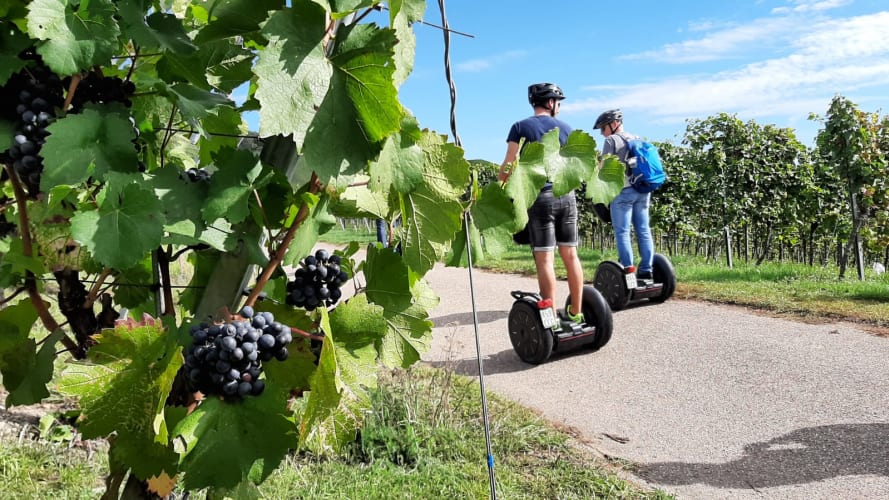Segway Weinerlebnistour Heilbronn