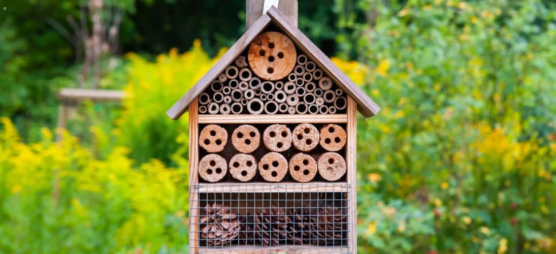 Insektenhotel Workshop