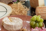 Käse Tasting