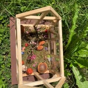 Gewächshaus Bau thumb