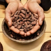 Kakao- und Schokoladen Workshop thumb