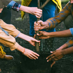 Bäume pflanzen bei Stuttgart preview