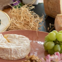 Käse Tasting preview