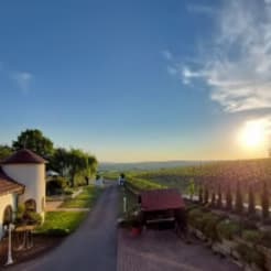 Weinwanderung Talheim preview