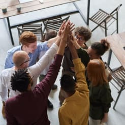 Feedback Workshop preview