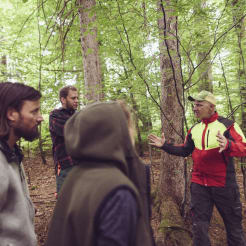 Kräuterwanderung preview