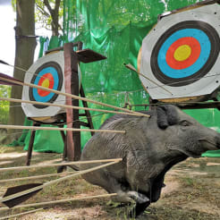 Bogenschießen Berlin thumb