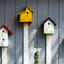 Vogelhaus Workshop preview