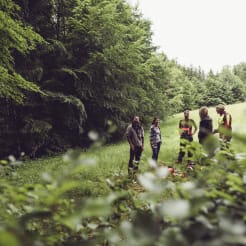 Kräuterwanderung preview