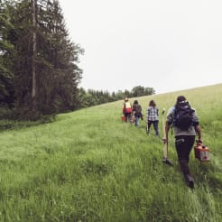 Bäume pflanzen preview