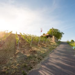 Weinwanderung bei Frankfurt preview