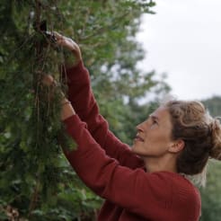 Build Your XMas Tree preview