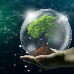 Workshop Nachhaltigkeit preview