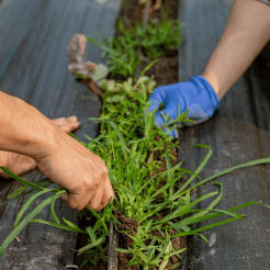 Workshop Nachhaltigkeit preview