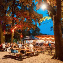 Teamtag am Wannsee preview
