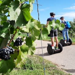 Segway Weinerlebnistour Heilbronn preview