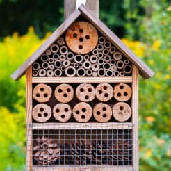 Insektenhotel Workshop thumb