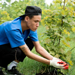 Bäume pflanzen bei Leipzig  preview