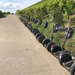 Segway Weinerlebnistour Heilbronn preview