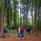 Walderlebnistour in Hohenkammer thumb