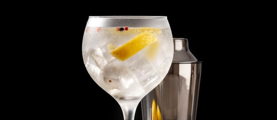 Gin Tasting
