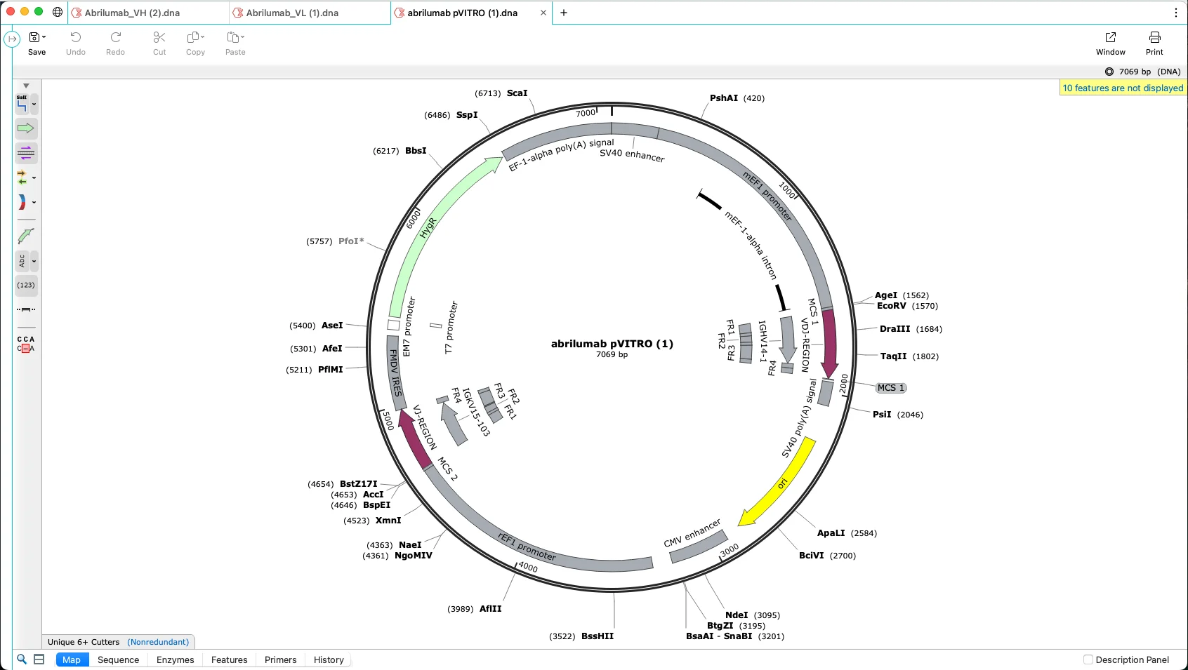 [WEB] SnapGene Integration & Biological Entity Registration