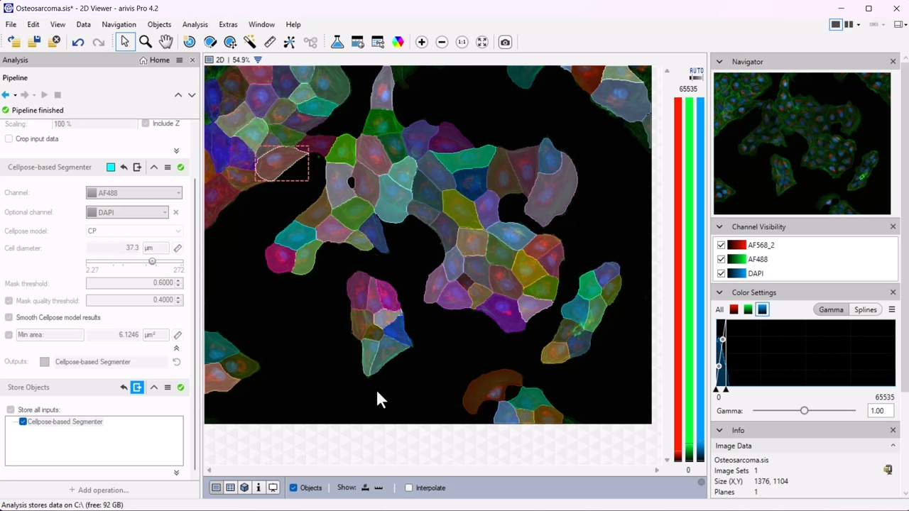 Cellpose Demo | arivis