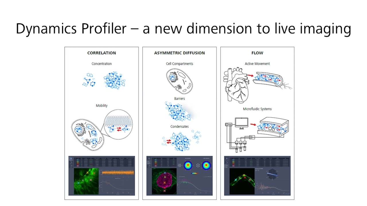 Tutorial | Dynamics Profiler