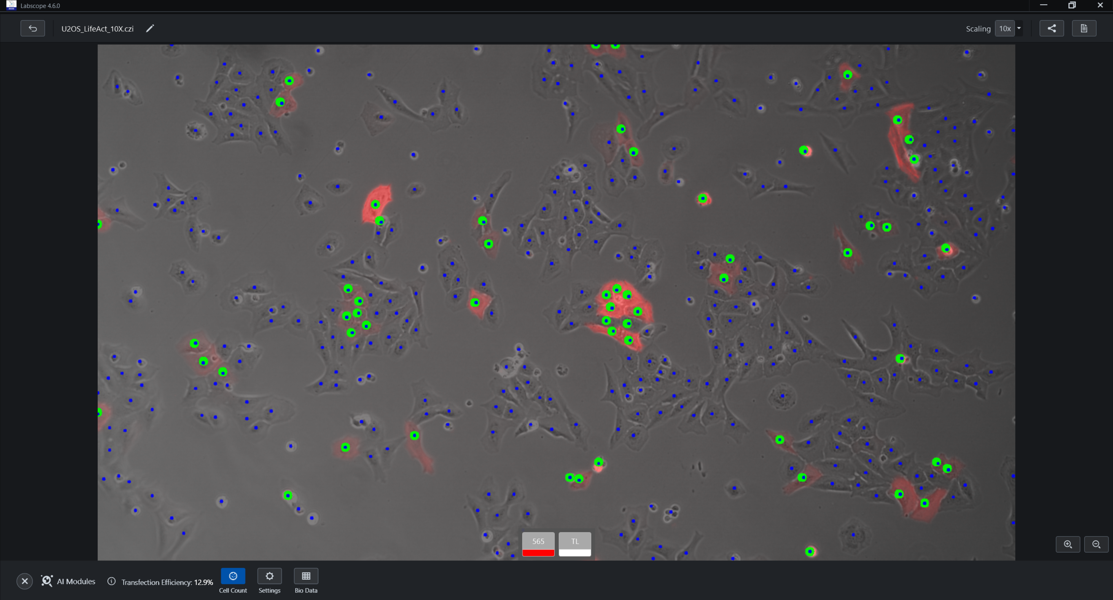 Labscope AI Cell Transfection - Video