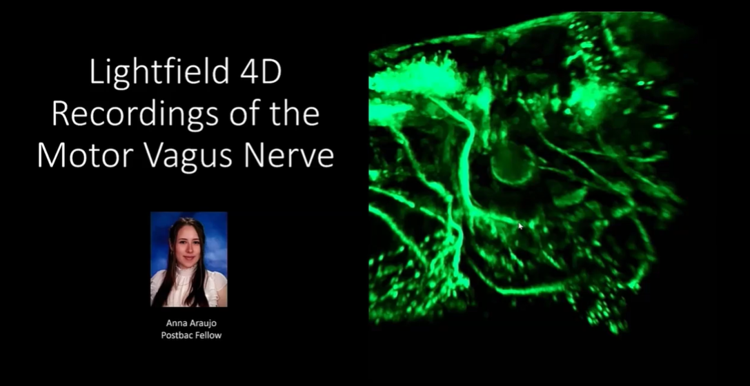 SfN2025 Booth Talk: Luis Hernandez-Nunz | LightField