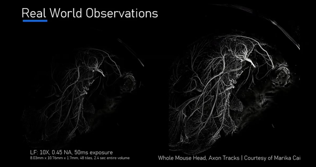 SfN2025 Booth Talk: Gordon Wang | LightField