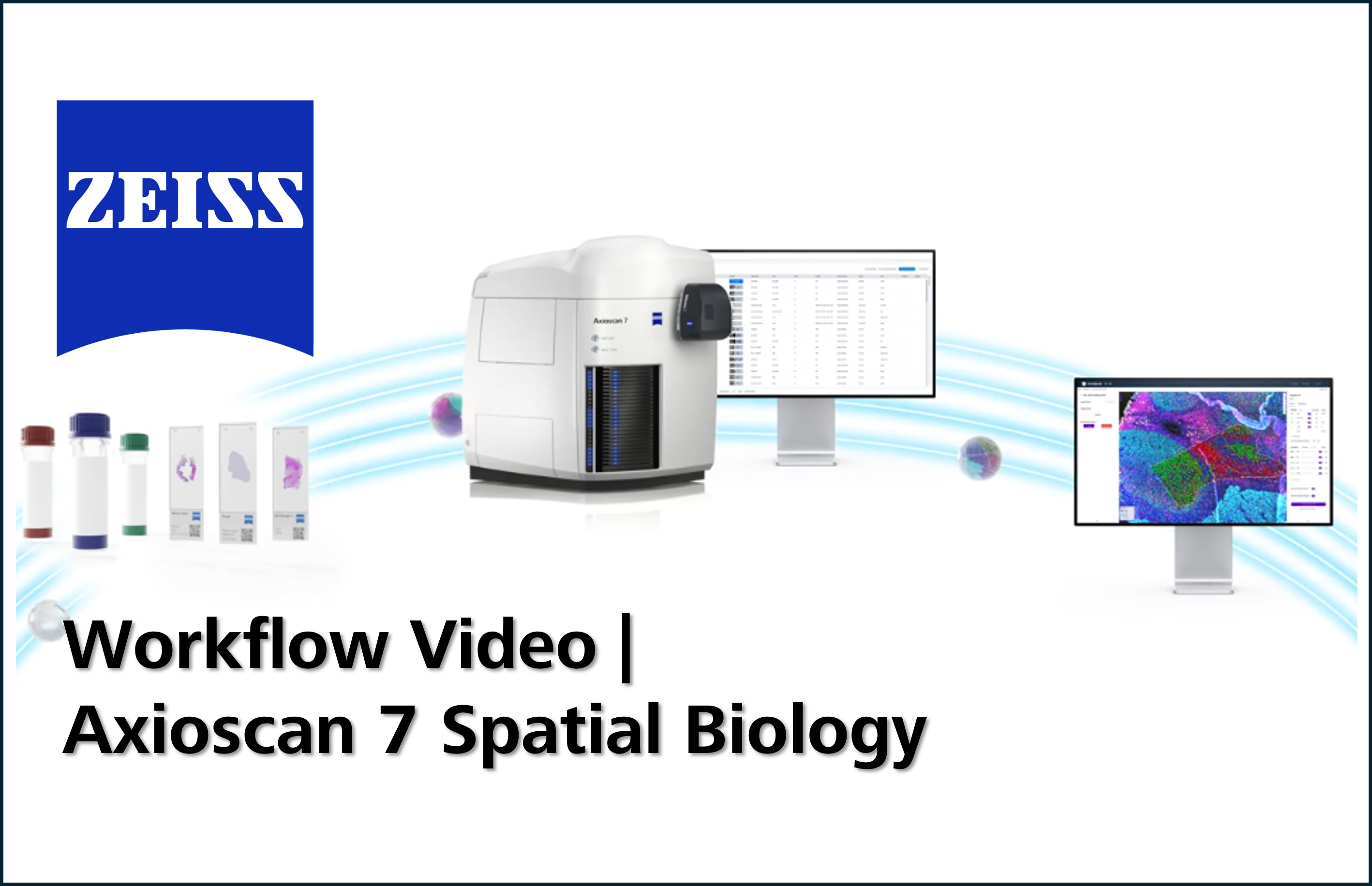 ZEISS Spatial Biology Workflow