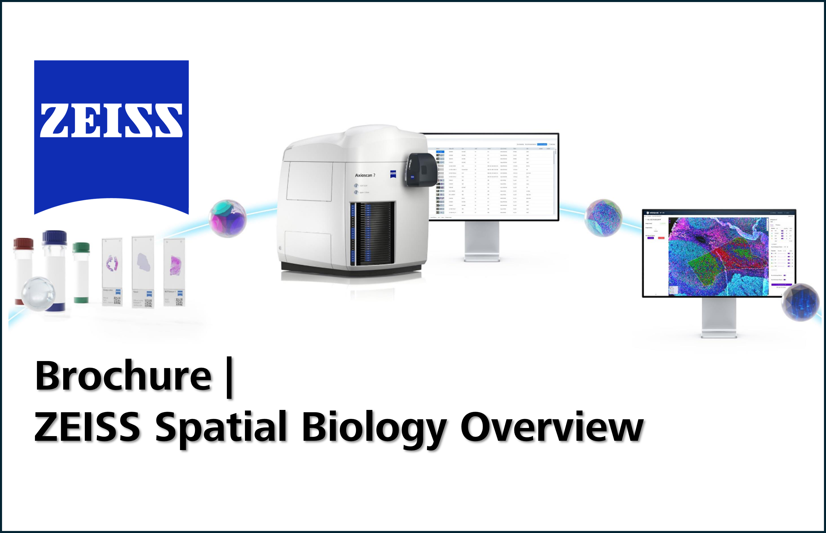 Overview | Spatial Biology 