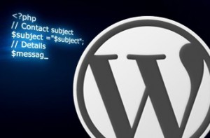 Cara mengeksekusi kode PHP di Text Widget tanpa menggunakan Plugin