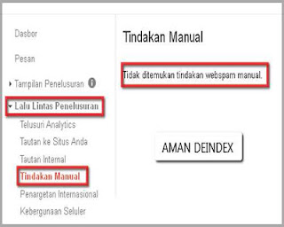 Beware Google DeIndex! Read the 12 Causes and Solutions Here